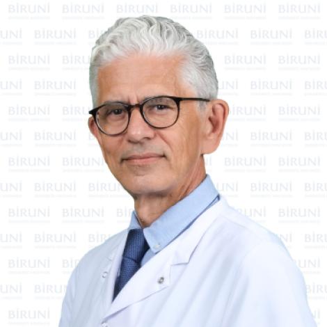 Prof. Dr. Hilmi Apak